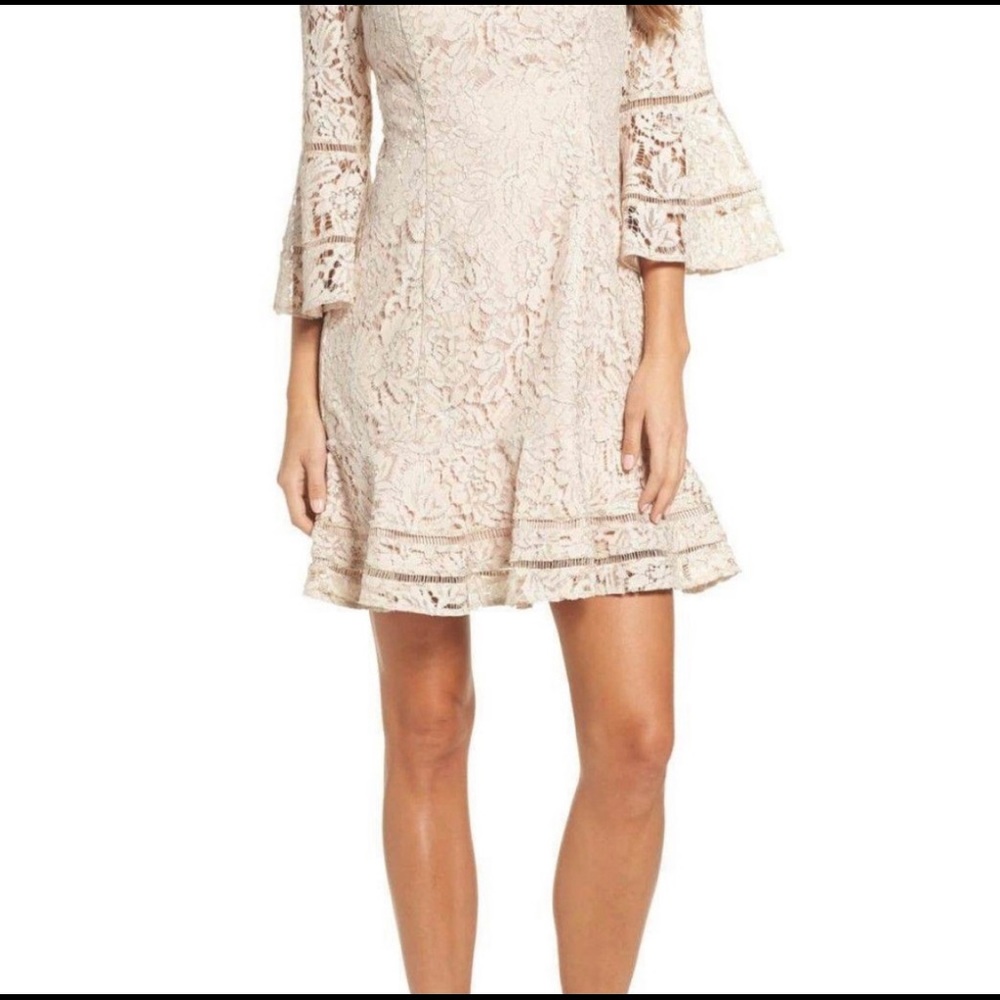 NWT Eliza J Beige Lace Dress